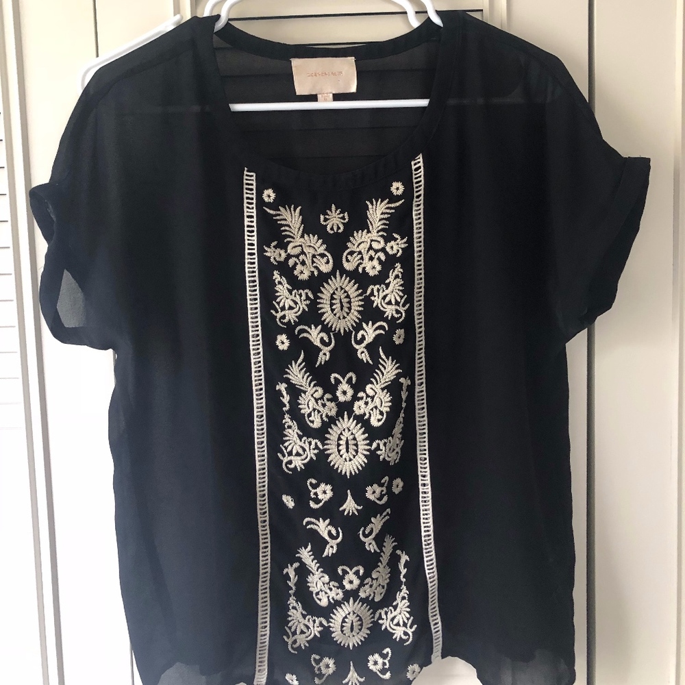 Sheer Black Blouse